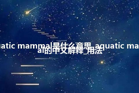 aquatic mammal是什么意思_aquatic mammal的中文解释_用法