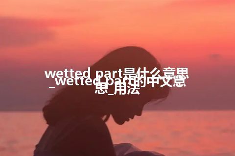wetted part是什么意思_wetted part的中文意思_用法