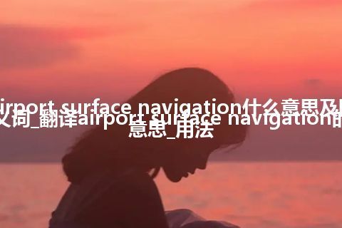 airport surface navigation什么意思及同义词_翻译airport surface navigation的意思_用法