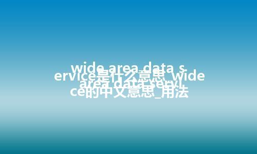 wide area data service是什么意思_wide area data service的中文意思_用法