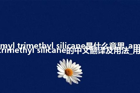 amyl trimethyl silicane是什么意思_amyl trimethyl silicane的中文翻译及用法_用法