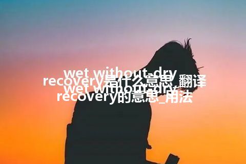 wet without-dry recovery是什么意思_翻译wet without-dry recovery的意思_用法