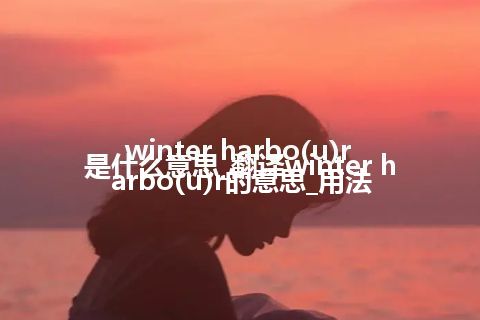 winter harbo(u)r是什么意思_翻译winter harbo(u)r的意思_用法