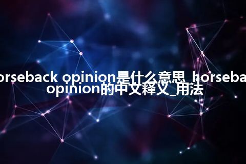 horseback opinion是什么意思_horseback opinion的中文释义_用法