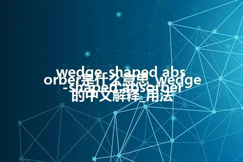wedge-shaped absorber是什么意思_wedge-shaped absorber的中文解释_用法