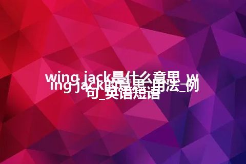 wing jack是什么意思_wing jack的意思_用法_例句_英语短语
