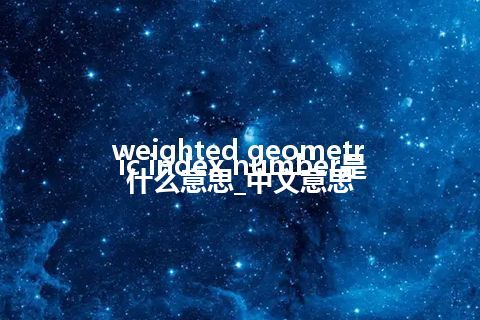 weighted geometric index number是什么意思_中文意思