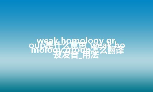 weak homology group是什么意思_weak homology group怎么翻译及发音_用法