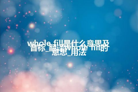 whole fill是什么意思及音标_翻译whole fill的意思_用法