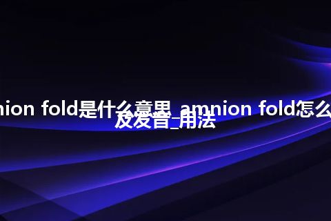 amnion fold是什么意思_amnion fold怎么翻译及发音_用法