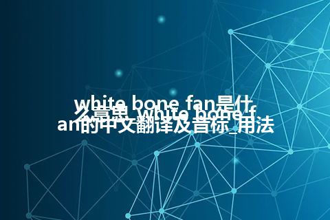 white bone fan是什么意思_white bone fan的中文翻译及音标_用法