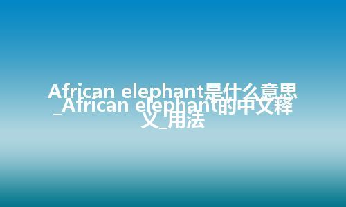 African elephant是什么意思_African elephant的中文释义_用法