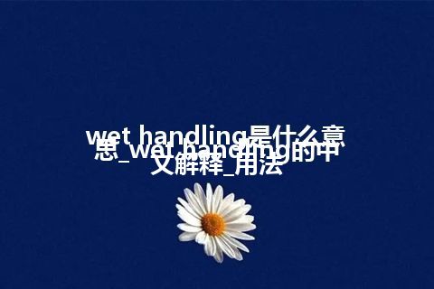 wet handling是什么意思_wet handling的中文解释_用法