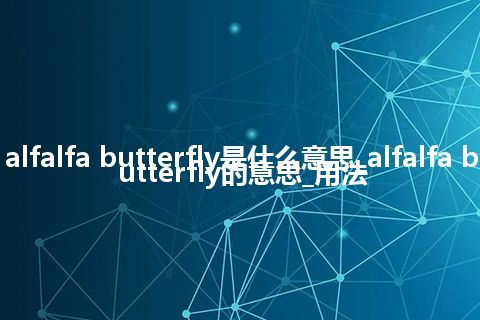 alfalfa butterfly是什么意思_alfalfa butterfly的意思_用法
