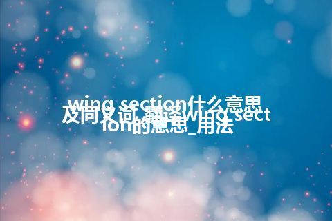wing section什么意思及同义词_翻译wing section的意思_用法