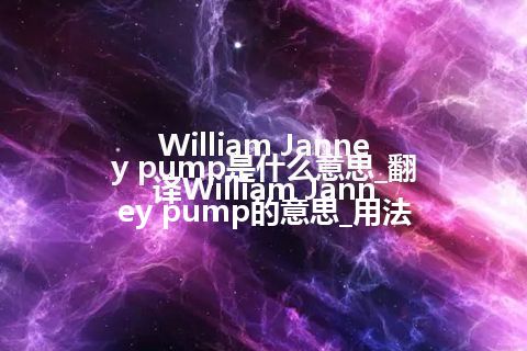 William Janney pump是什么意思_翻译William Janney pump的意思_用法