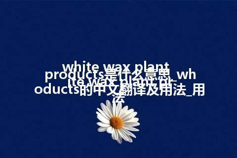 white wax plant products是什么意思_white wax plant products的中文翻译及用法_用法