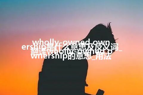 wholly-owned ownership是什么意思及反义词_翻译wholly-owned ownership的意思_用法