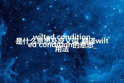 wilted condition是什么意思及反义词_翻译wilted condition的意思_用法