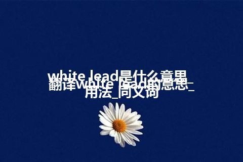 white lead是什么意思_翻译white lead的意思_用法_同义词