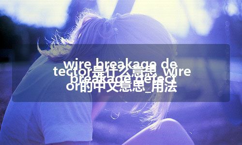 wire breakage detector是什么意思_wire breakage detector的中文意思_用法