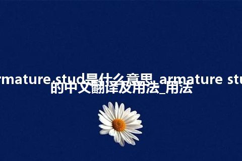 armature stud是什么意思_armature stud的中文翻译及用法_用法