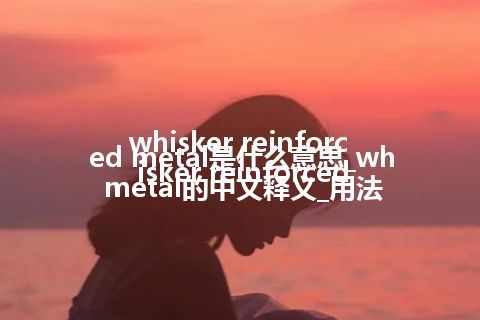 whisker reinforced metal是什么意思_whisker reinforced metal的中文释义_用法