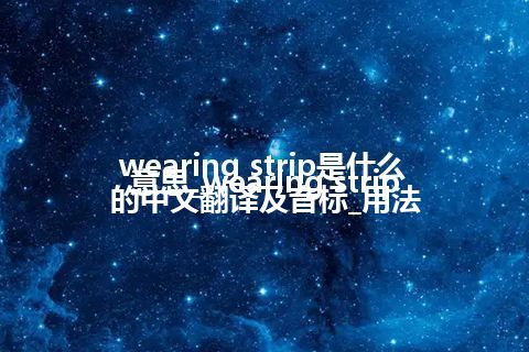 wearing strip是什么意思_wearing strip的中文翻译及音标_用法