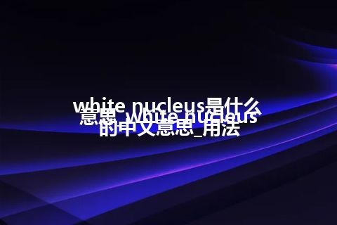white nucleus是什么意思_white nucleus的中文意思_用法