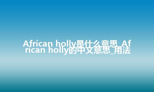 African holly是什么意思_African holly的中文意思_用法