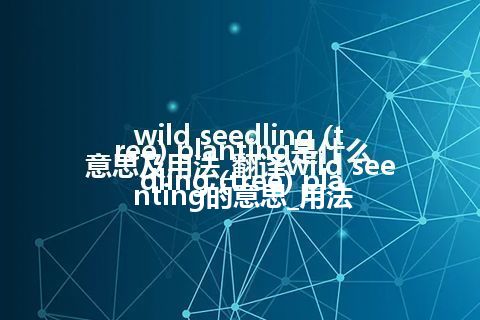 wild seedling (tree) planting是什么意思及用法_翻译wild seedling (tree) planting的意思_用法
