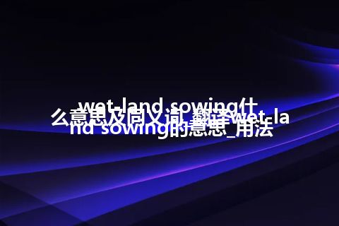 wet-land sowing什么意思及同义词_翻译wet-land sowing的意思_用法