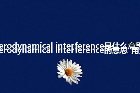 aerodynamical interference是什么意思_aerodynamical interference的意思_用法