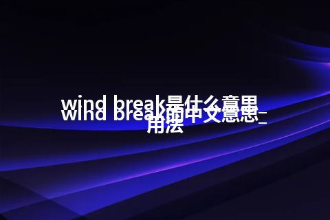 wind break是什么意思_wind break的中文意思_用法