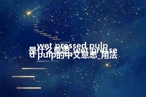 wet pressed pulp是什么意思_wet pressed pulp的中文意思_用法