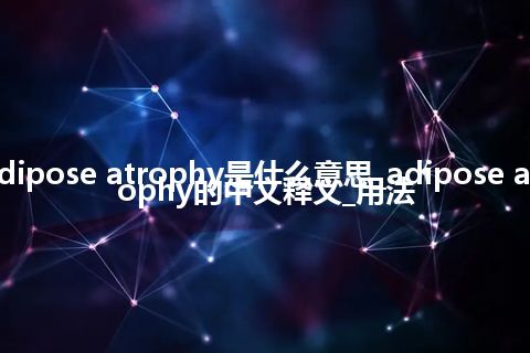 adipose atrophy是什么意思_adipose atrophy的中文释义_用法