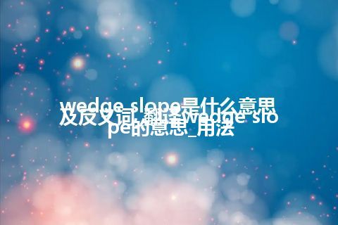 wedge slope是什么意思及反义词_翻译wedge slope的意思_用法