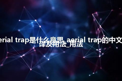 aerial trap是什么意思_aerial trap的中文翻译及用法_用法