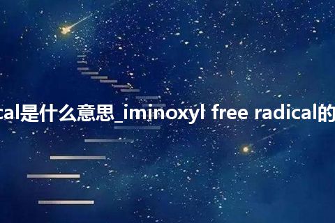 iminoxyl free radical是什么意思_iminoxyl free radical的中文翻译及用法_用法