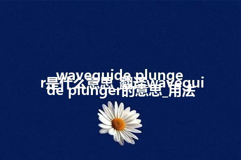 waveguide plunger是什么意思_翻译waveguide plunger的意思_用法