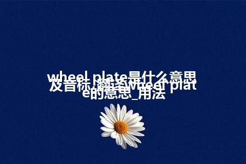 wheel plate是什么意思及音标_翻译wheel plate的意思_用法