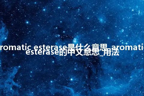 aromatic esterase是什么意思_aromatic esterase的中文意思_用法