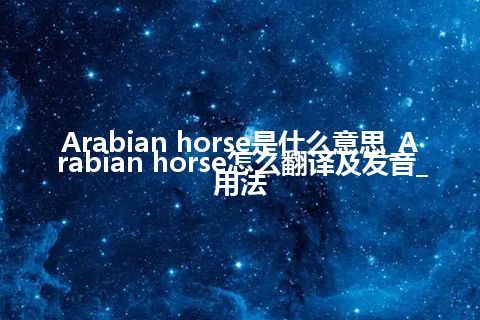 Arabian horse是什么意思_Arabian horse怎么翻译及发音_用法