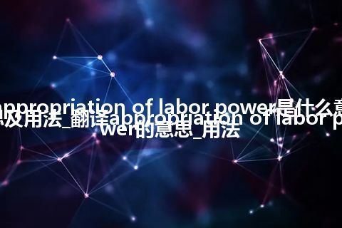 appropriation of labor power是什么意思及用法_翻译appropriation of labor power的意思_用法