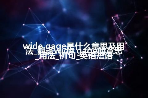 wide gage是什么意思及用法_翻译wide gage的意思_用法_例句_英语短语
