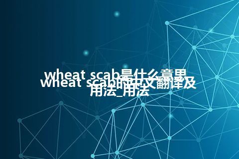 wheat scab是什么意思_wheat scab的中文翻译及用法_用法