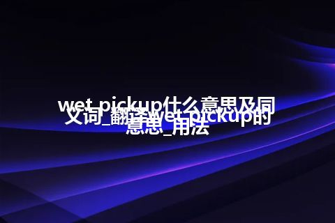 wet pickup什么意思及同义词_翻译wet pickup的意思_用法