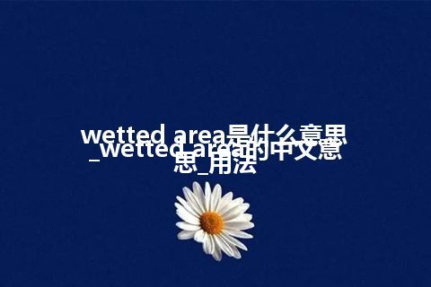 wetted area是什么意思_wetted area的中文意思_用法