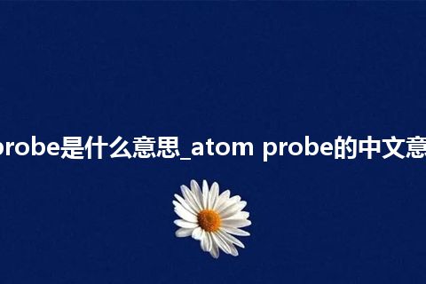 atom probe是什么意思_atom probe的中文意思_用法