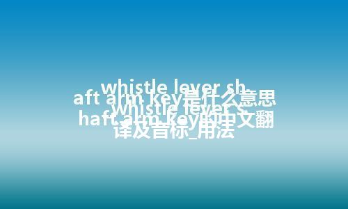 whistle lever shaft arm key是什么意思_whistle lever shaft arm key的中文翻译及音标_用法